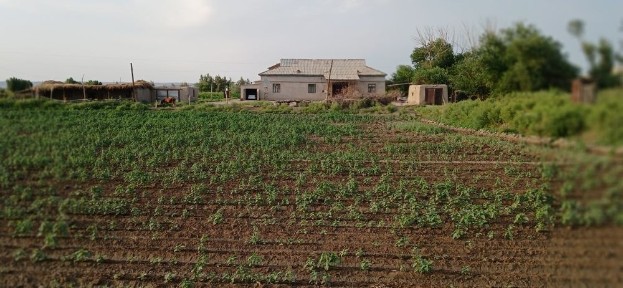 Beruniy tumani