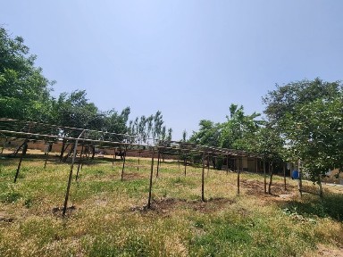 Ташкентская область, Келес