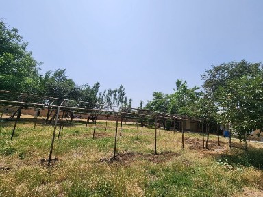 Ташкентская область, Келес