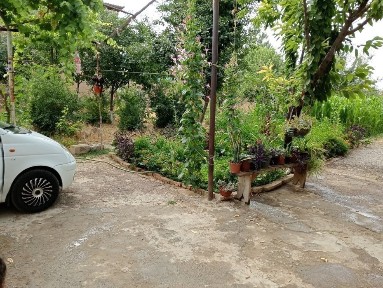 Ташкентская область, Чирчик