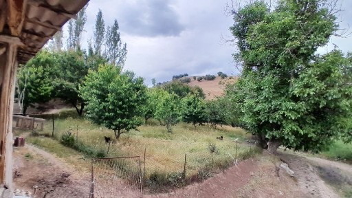 Ташкентская область, Газалкент