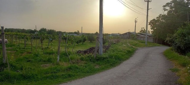 Ташкентская область, Коксарай