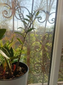 Ташкентская область, Чирчик