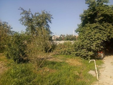 Ховли уй сотилади 8 сотих