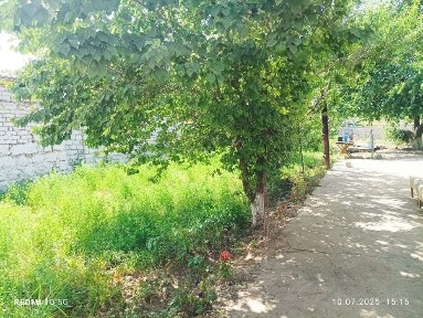 Срочно уй сотилади