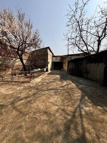 Qoqon hovli arzon