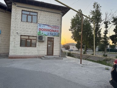 Ташкентская область, Нурафшан (Тойтепа)