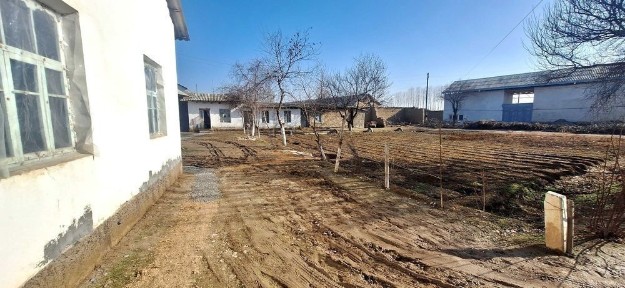 Ташкентская область, Чиназ