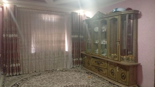 Ташкентская область, Нурафшан (Тойтепа)