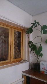 Ташкентская область, Ташкент, Мирзо-Улугбекский район