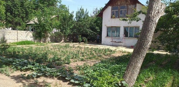 Ташкентская область, Эшангузар