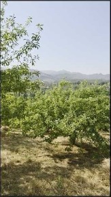 Ташкентская область, Паркент