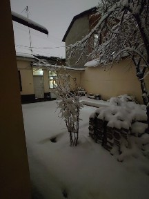 Ташкентская область, Ташкент, Шайхантахурский район