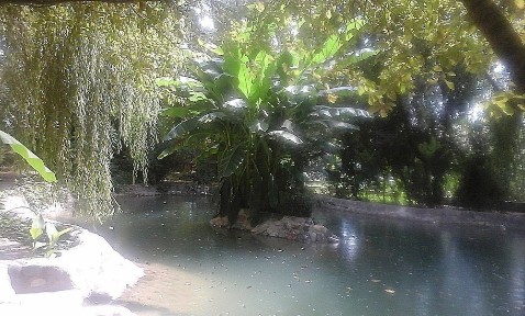 Ташкентская область, Кибрай