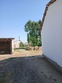 Ташкентская область, Чиназ