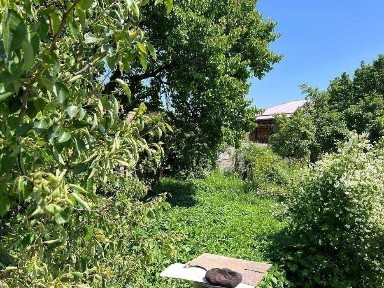 Ташкентская область, Пскент