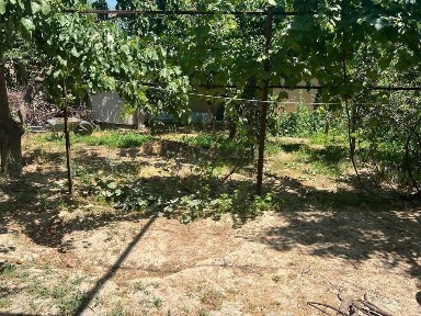 Ташкентская область, Зангиата