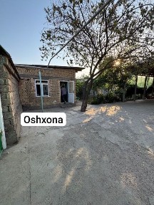 Ташкентская область, Нурафшан (Тойтепа)