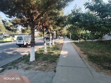 Зангиата, Amir temur 18 uy