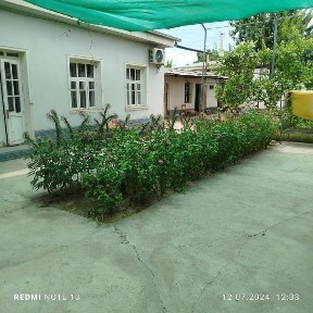 Ташкентская область, Янгиюль