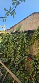 Срочно Чилонзор, Домбрабод махаллада ховли сотилади.