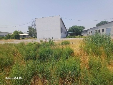 Ташкентская область, Янгиюль