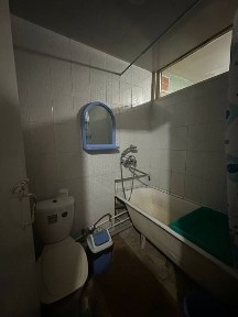 Ташкентская область, Алмалык