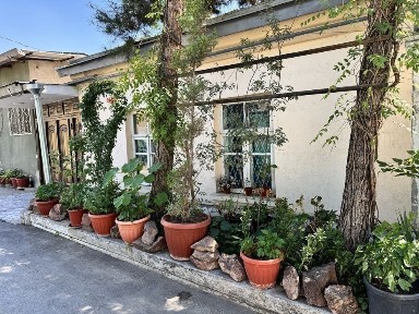 Ташкентская область, Ташкент, Мирзо-Улугбекский район