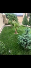 Дом в элитной махалле (Луначарский)