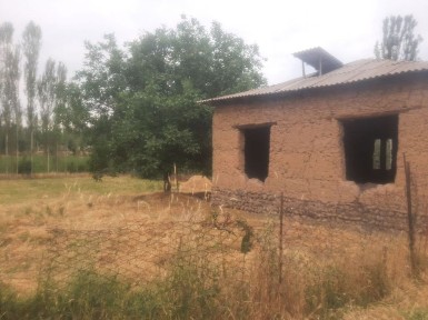 Ташкентская область, Янгибазар