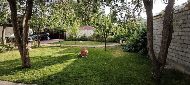 Ташкентская область, Ходжикент