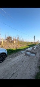 Ташкентская область, Кибрай