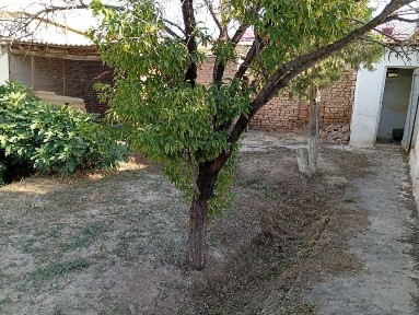 Кашкадарьинская область, Карши