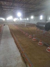 ХХХ Продаётся птицефабрика на Барданкуле