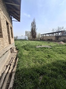 Ташкентская область, Нурафшан (Тойтепа)