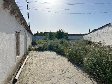 Ташкентская область, Зангиата