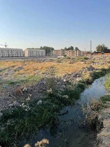 Ташкентская область, Нурафшан (Тойтепа)