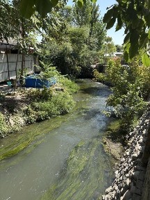 Ташкентская область, Ташкент, Мирабадский район