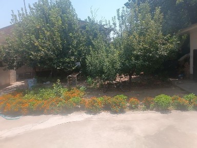 Ташкентская область, Ташкент, Шайхантахурский район