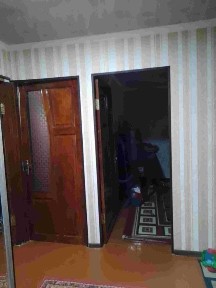 Ташкентская область, Нурафшан (Тойтепа)