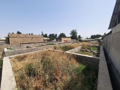 Ташкентская область, Янгибазар