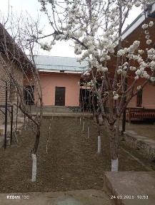 Умид Кургонида уй солади