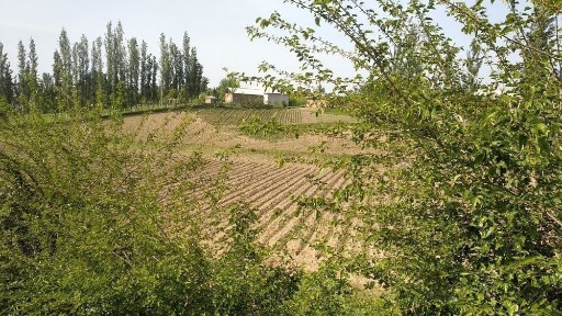 Ташкентская область, Ташкент, Яккасарайский район