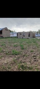 Ташкентская область, Янгиюль