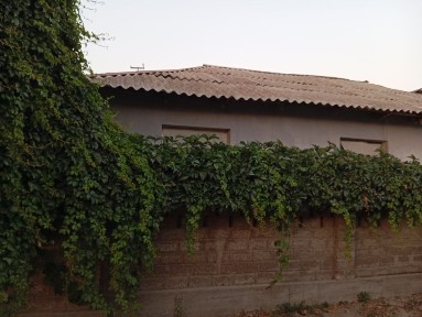 Ташкентская область, Нурафшан (Тойтепа)