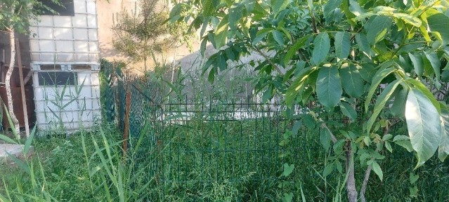 Ташкентская область, Искандар