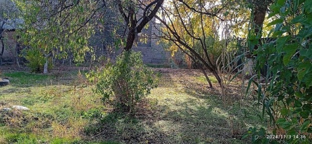 Ташкентская область, Ташкент, Мирзо-Улугбекский район