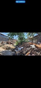 Ташкентская область, Янгибазар