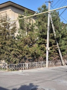 Ташкентская область, Ташкент, Юнусабадский район