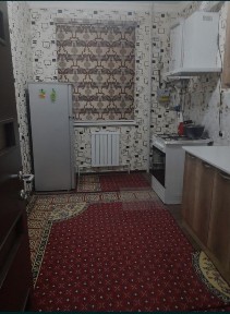 Ташкентская область, Нурафшан (Тойтепа)